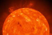 Photo of Телескоп София: взгляд на звезды из самолета