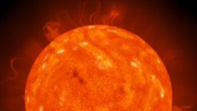 Photo of Телескоп София: взгляд на звезды из самолета