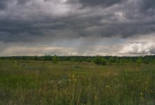 Photo of Звездный дождь над планетой Венера