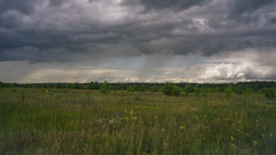 Photo of Звездный дождь над планетой Венера