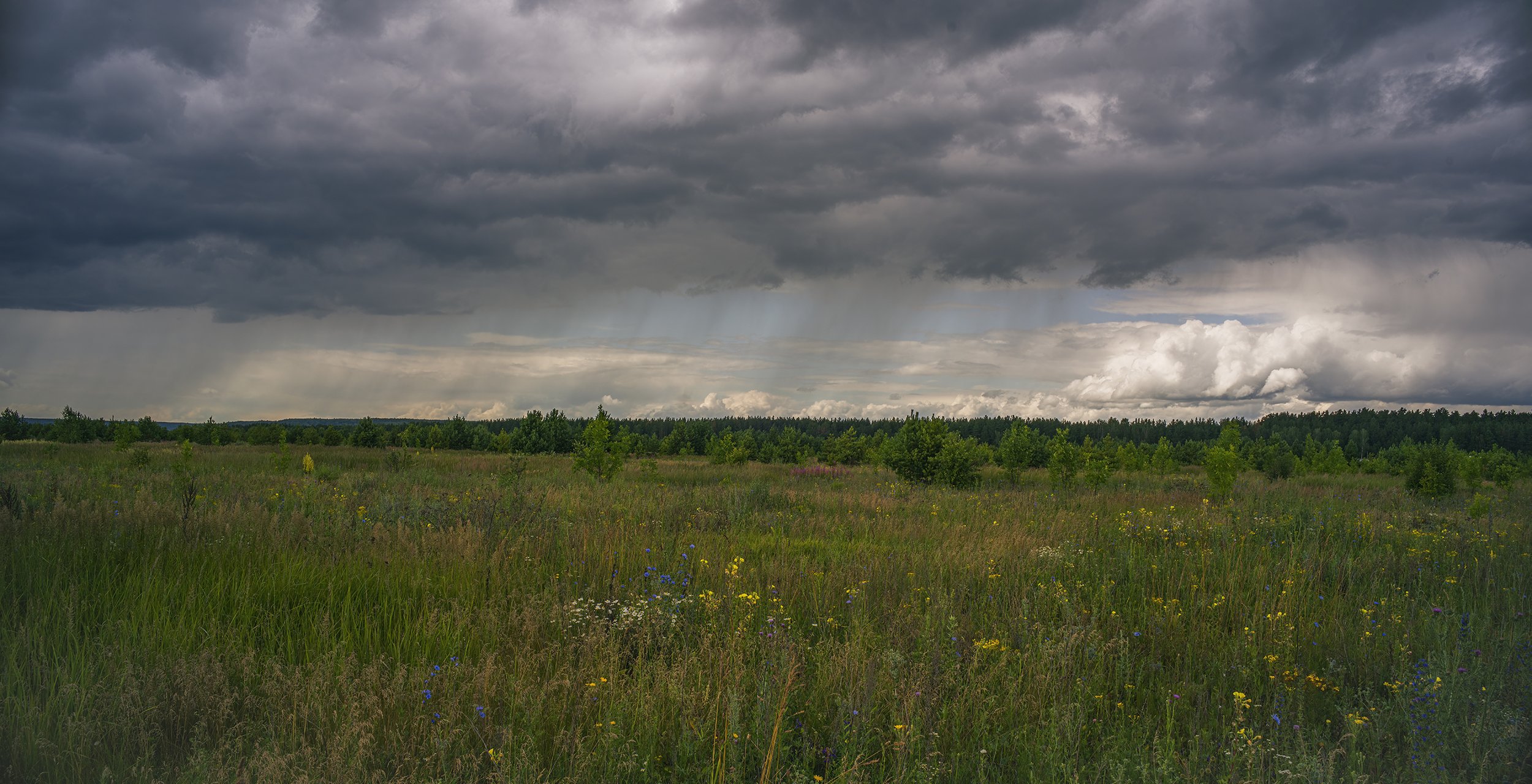 Фото 55 — Звездный дождь над планетой Венера