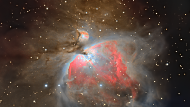 Photo of Магнетизм галактики Туманность Ориона