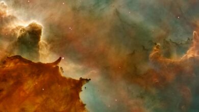 Photo of Звездный вихрь в галактике Туманность Ориона