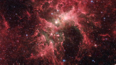 Photo of Телескоп Чандра: взгляд на звезды