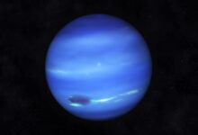 Photo of Величественная планета Нептун