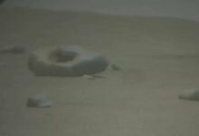 Photo of Марсианский ровер: научные данные