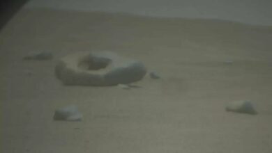 Photo of Марсианский ровер: научные данные